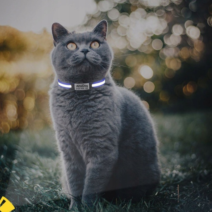 OBROŻA DLA KOTA ADRESÓWKA ODBLASKOWA INDETYFIKATOR KOT PIES + GRAWER