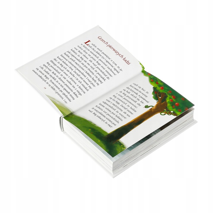 BIBLIA NA KOMUNIĘ PAMIĄTKA PIERWSZEJ KOMUNII ŚWIĘTEJ PREZENT NA KOMUNIĘ