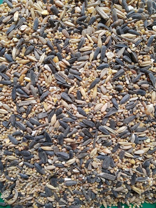 Karma dla dzikich ptaków gołębi drobne ziarno MIX ziaren 25kg