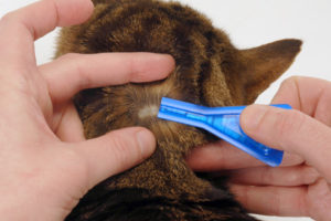 KROPLE NA PCHŁY I KLESZCZE DLA KOTA CANAC DIMETHICON 6X1ML