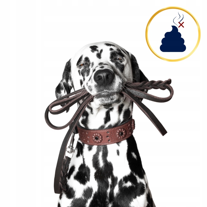 SUCHA KARMA DLA PSA POLARIS ADULT BEZ ZBÓŻ WOŁOWINA INDYK 12KG ŚWIEŻE MIĘSO