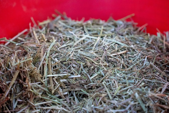 Sieczka Hartog Digest 15 kg sieczka dla koni wrzodowych