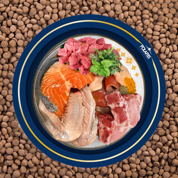 SUCHA KARMA DLA PSA POLARIS ADULT BEZ ZBÓŻ WOŁOWINA INDYK 12KG ŚWIEŻE MIĘSO