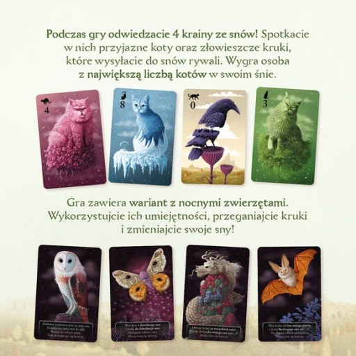 Gra Koty - rodzinna gra karciana