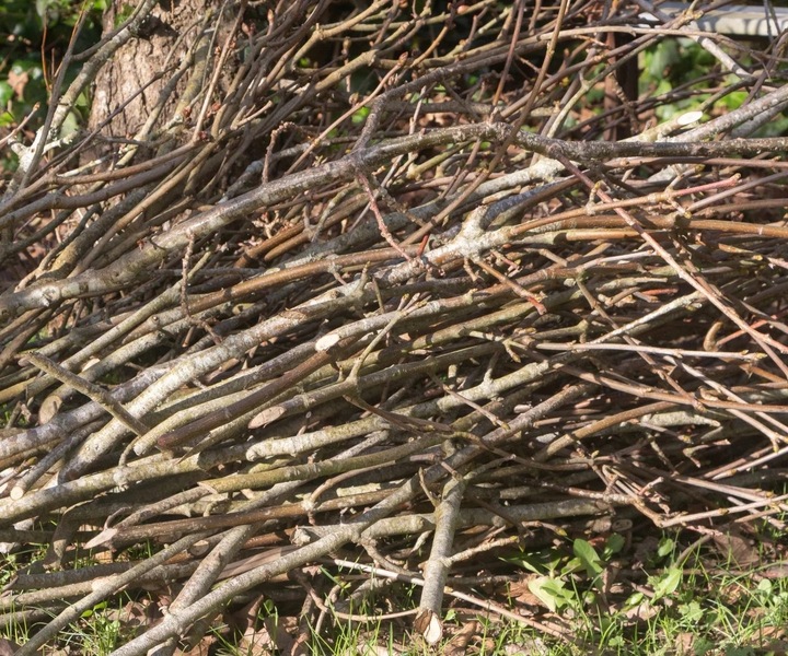 ROZDRABNIACZ GŁADKOLUFOWY ELEKTRYCZNY SAMOZASYSAJĄCY TURBO RĘBAK DO