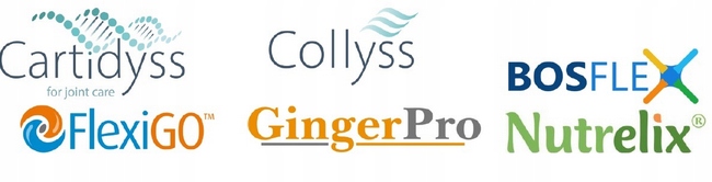 Aliness Duoflexin KOLAGEN TYP I II WIT. C MOCNE STAWY I KOŚCI VEGE 90k