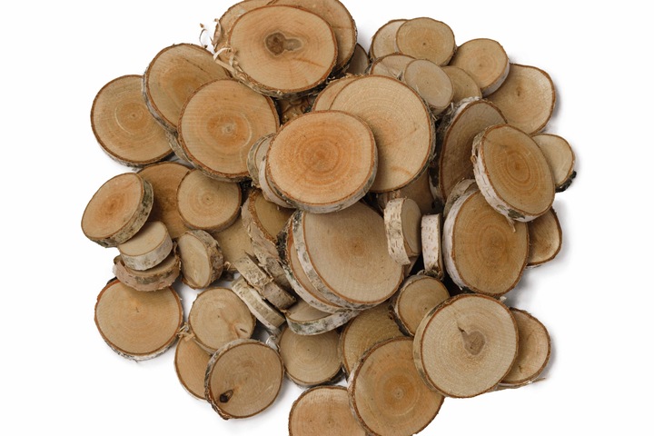 Plastry drewniane, plaster drewna, 3-9 cm - 1 kg wysuszone krążki brzozowe