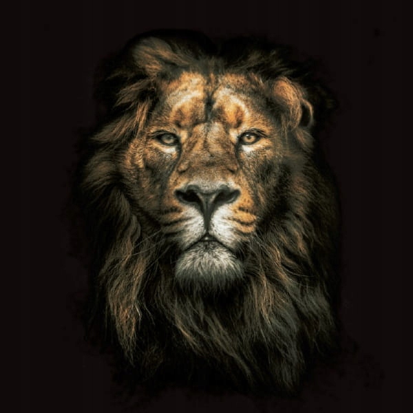 BARDZO MOCNE MĘSKIE FEROMONY ZAPACHOWE IMPI MAN 15 ML