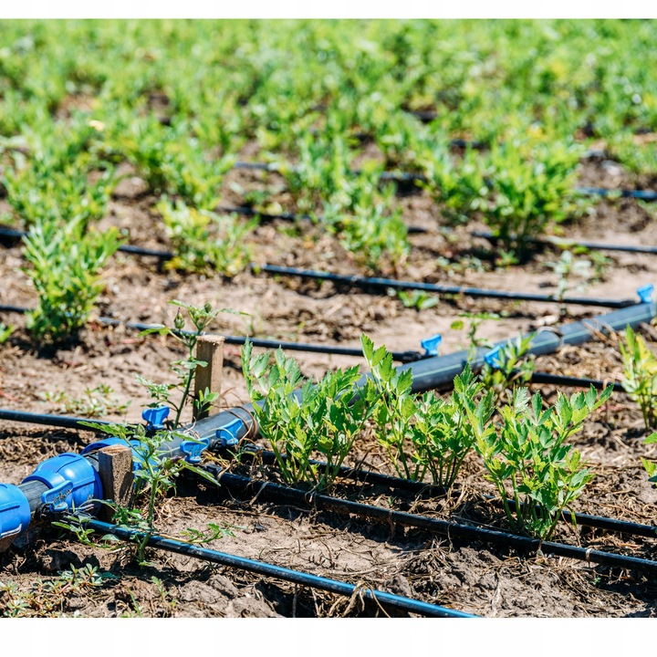 LINIA KROPLUJĄCA 100m+179EL NAWADNIANIE KROPELKOWE WĄŻ KROPELKUJĄCY SOLIDNY