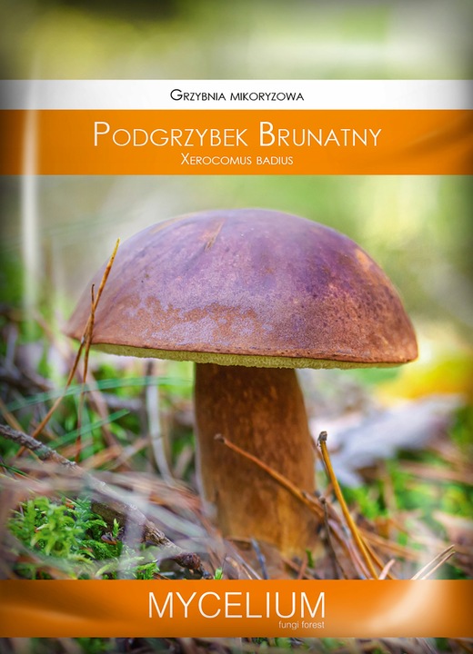 PODGRZYBEK BRUNATNY zagęszczona żywa grzybnia