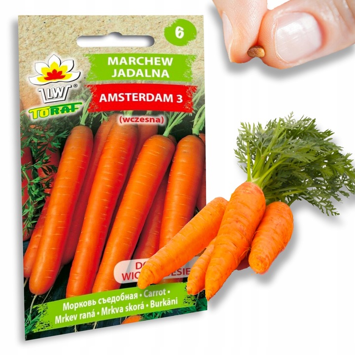 Nasiona warzyw marchew ogórek pietruszka burak NA DOBRY START UDANE PLONY