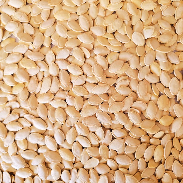 PESTKI DYNI W ŁUPINIE ŚWIEŻO PRAŻONE SOLONE 500g bezrantowe