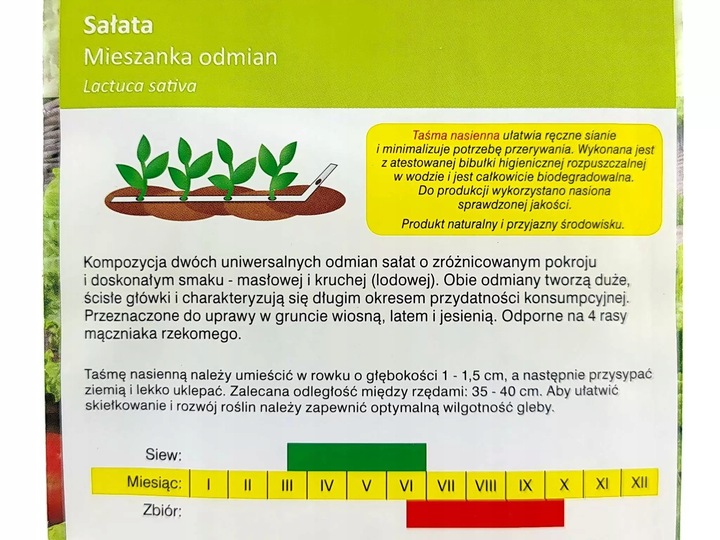 ZESTAW 2240 Sprawdzonych Nasion Warzyw na taśmie