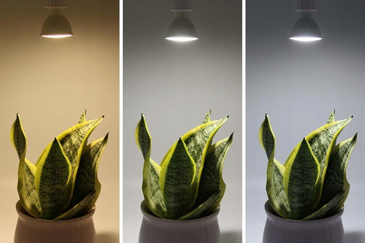 10x Żarówka LED GU10 6W = 60W 570 lm CCD More Lumens SuperLED