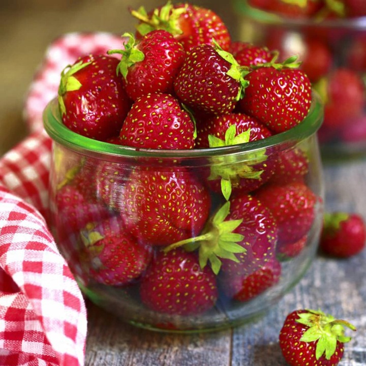 TRUSKAWKA HONEOYE BARDZO WCZESNA DESEROWA 10 SZT. SADZONKI TRUSKAWEK FRIGO