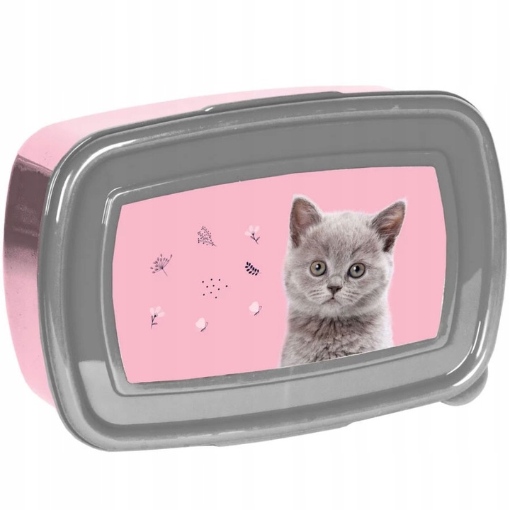 TORNISTER SZKOLNY PLECAK DLA DZIEWCZYNKI DO 1 KLASY KOT KOTEK 5 ELEMENTÓW