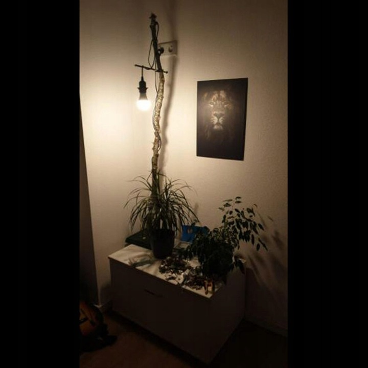 Gniazdo oprawa E27 z kablem włącznikiem wtyczką