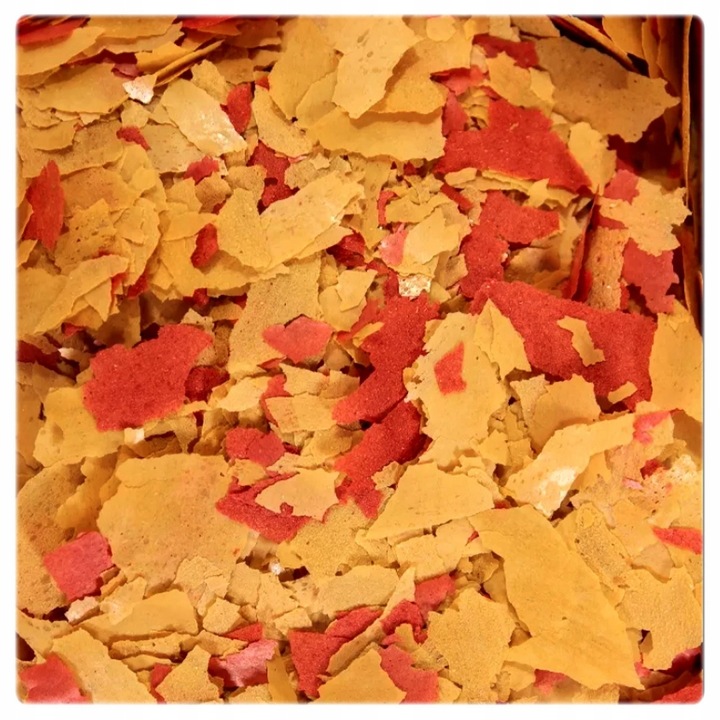 Zestaw 3 karm Glopex w pojemnikach 1000 ml Basic Eigelb i Vegetal mix