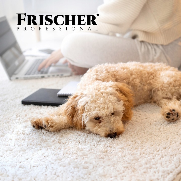 PŁYN DO PRANIA DYWANÓW CZYSZCZENIA TAPICERKI KONCENTRAT 500ml