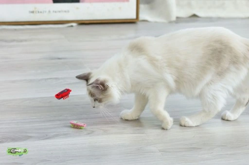 2x Karaluch robak insekt jak hexbug La Cucaracha Zabawka dla kota 4xBateria