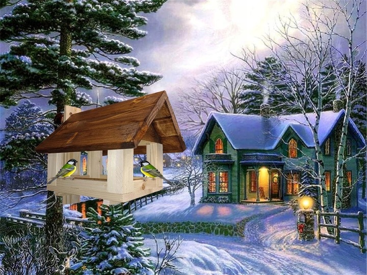 Karmnik Dla Ptaków Mocny STOJĄCY DREWNIANY WISZĄCY wystarczająco duży.