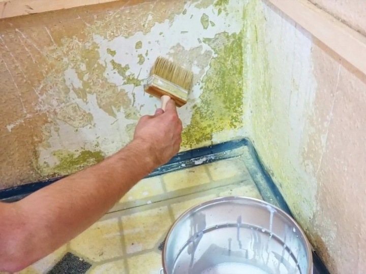 Środek pleśniobójczy - grunt do ścian Galvi Ag