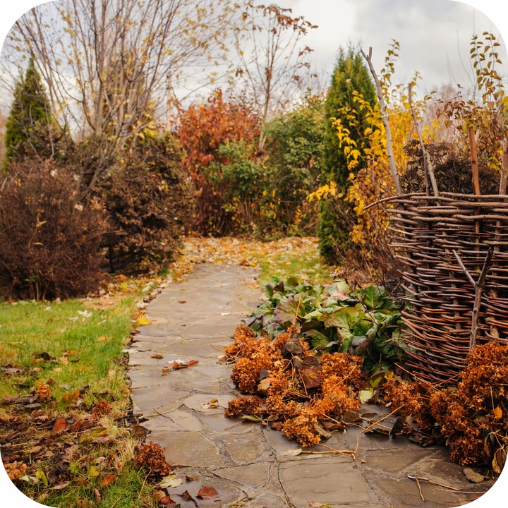 FLOROVIT NAWÓZ JESIENNY DO IGLAKÓW 4KG