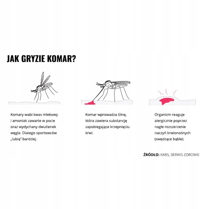 Mugga Strong spray 50% DEET 75 ml odstraszacz na komary i kleszcze ORYGINAŁ