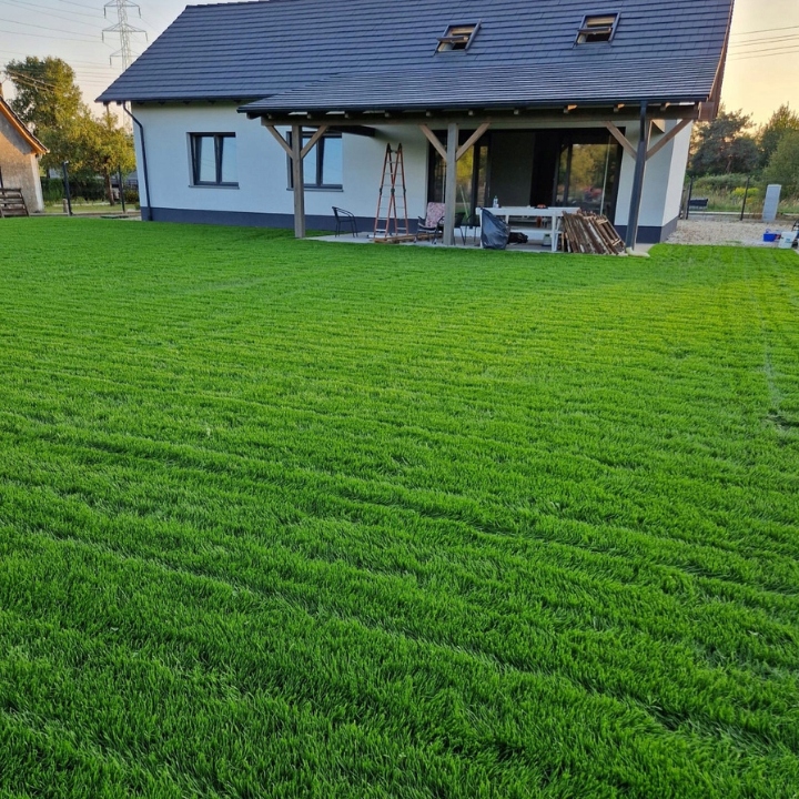 Trawa UNIWERSALNA nasiona trawy SAMOZAGĘSZCZAJĄCA odporna na DEPTANIE 25kg