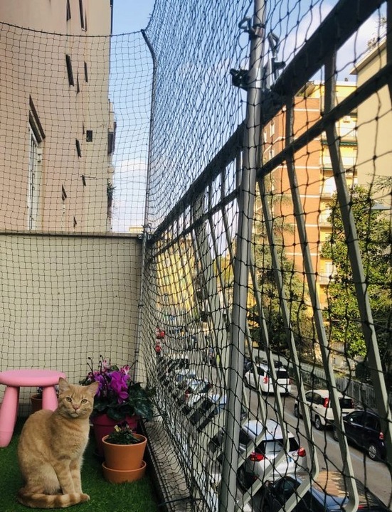 Siatka wzmacniana drucikiem na balkon dla kota 2x2 m