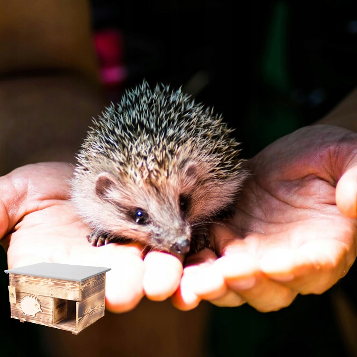Domek dla Jeża Jeży DREWNIANY budka dom legowisko producent XXL