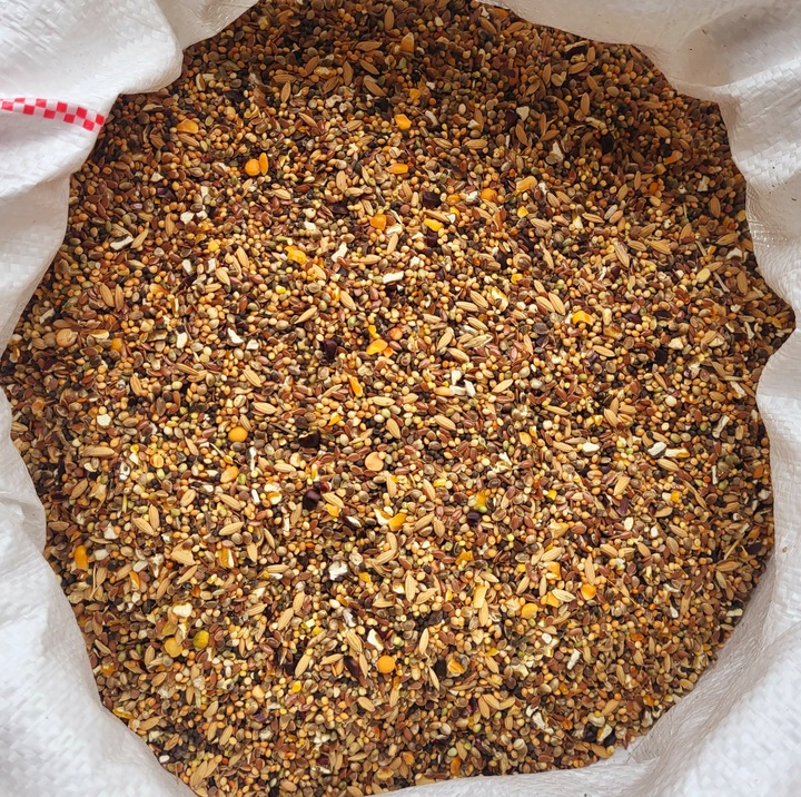 Karma pokarm dla kur i niosek drobiu 25kg Naturalna pasza Tylko ziarno