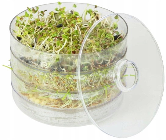 KIEŁKOWNICA 3 SZALKI + Nasiona na kiełki GRATIS!