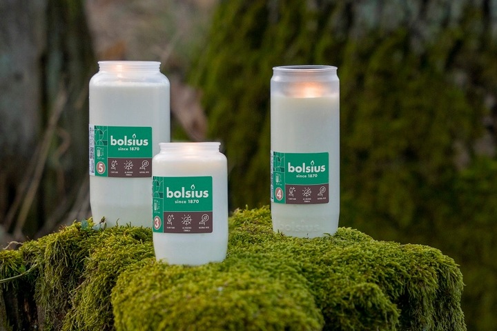 Wkłady Olejowe do Zniczy całoroczne Bolsius RC4 75h - zgrzewka 20