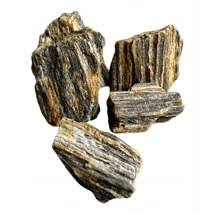 LAS W SŁOIKU SZKLE KOMPLETNY 10 elementów Z ROŚLINKĄ I KULA SŁÓJ ZESTAW