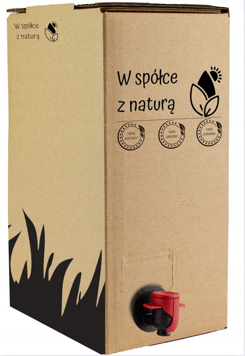 Sok Jabłko Limonka 100% Tłocznia Szymanowice 5l NFC Tłoczony