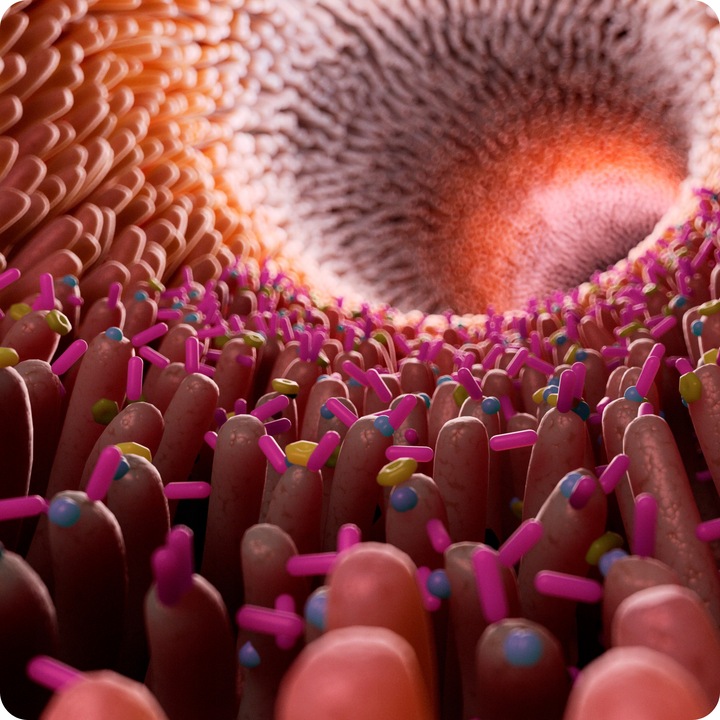 TESTOSTERON tabletki | Booster Testosteronu | Tabletki na potencje