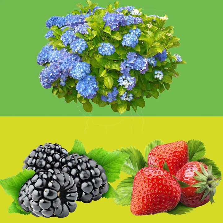 Nawóz Mączka Bazaltowa 25kg Do Róz Kwiatów Roślin Naturalny