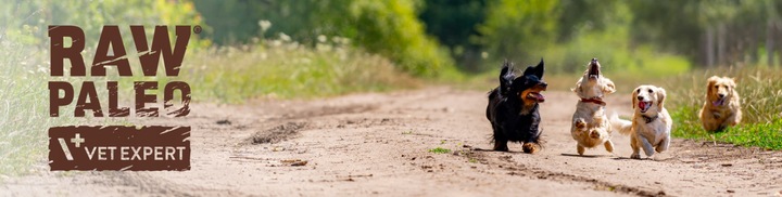 Mokra karma dla psów dorosłych małych ras indyk Raw Paleo Pate 12 x 150g