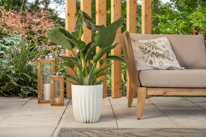 DONICZKA DONICA WKŁAD MISA KWIETNIK ZEW i WEW DUŻA MIRA 25cm x 29,7cm