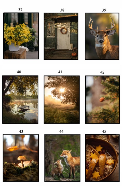 PLAKATY 50x70 JESIENNE obrazy DUŻO WZORÓW do salonu sypialni eviero