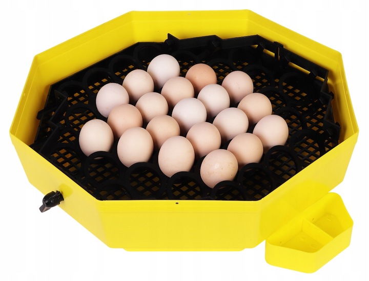 INKUBATOR CLEO 5 DTHE 60/41 JAJ WYLĘGARKA KLUJNIK TERMOMETR HIGROMETR TACA