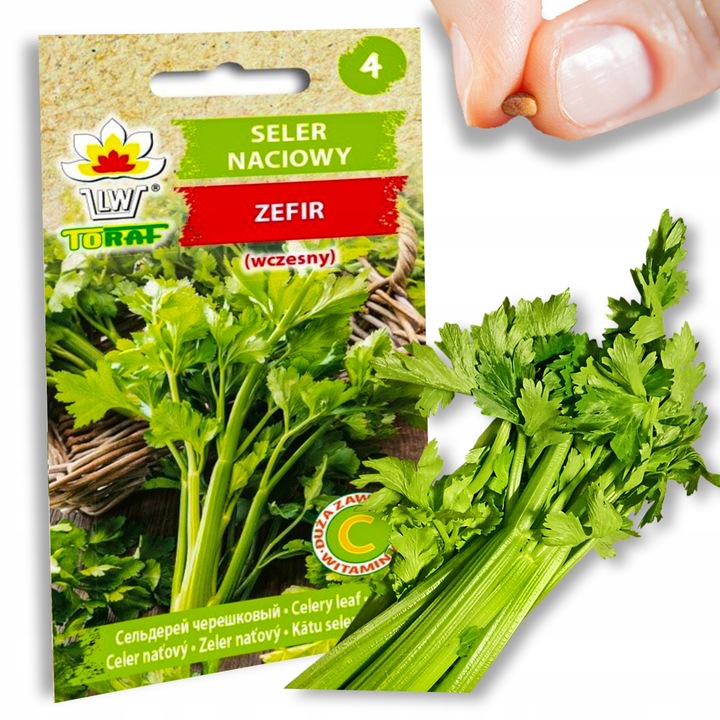 Nasiona warzyw marchew ogórek pietruszka burak NA DOBRY START UDANE PLONY