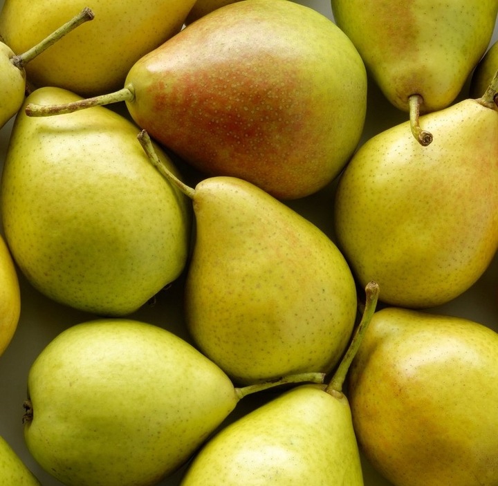 Grusza KLAPSA dobrze nam znana PYSZNA FAWORYTKA