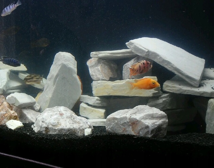 ŻWIREK CZARNY 1-3 mm PODŁOŻE DO AKWARIUM 25kg