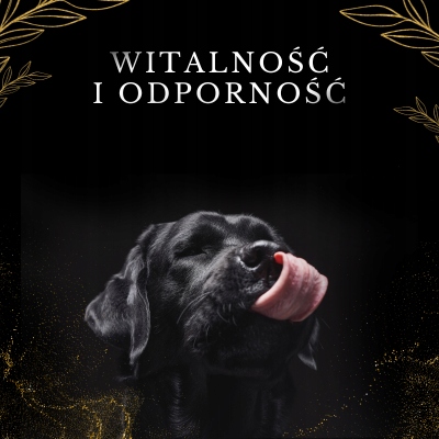 LAB V Olej z łososia z zawartością witamin 250ml