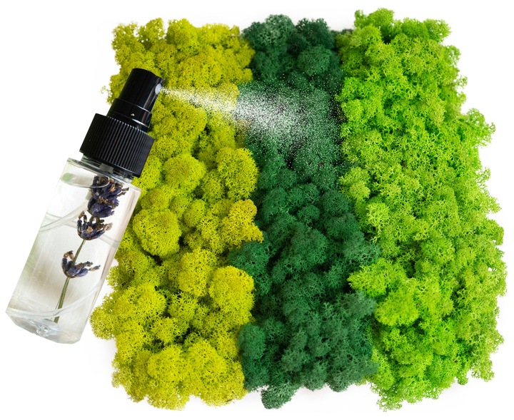 MECH + ODŻYWKA Chrobotek 500 0.5kg CZYSTY 3 KOLORY BOX + ODŻYWKA