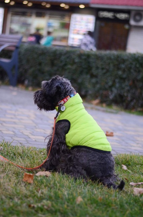 Dwustronna kurtka dla psa zielona-czarna, r. S40