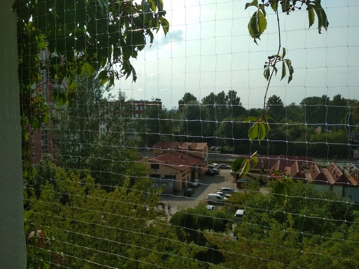 Siatka 6x3 bezbarwna - dla kota, na balkon