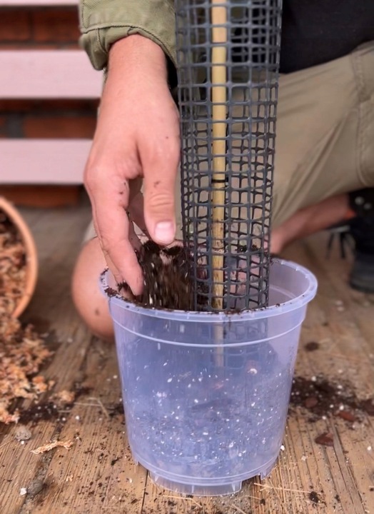 Palik z mchu 60cm sphagnum Podpora do roślin